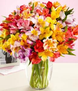 100 Blooms of Get Well Wishes