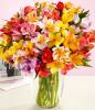 100 Blooms of Get Well Wishes