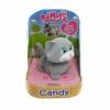 AniMagic Just Born Candy