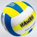 Beach volley bold