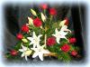Lily rose symapathy basket
